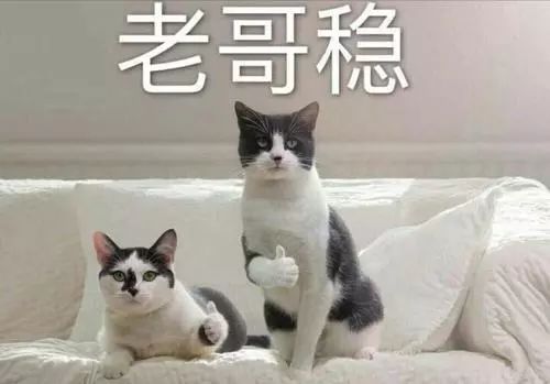 高效學習神器：千呼萬喚的Anki教程！插圖