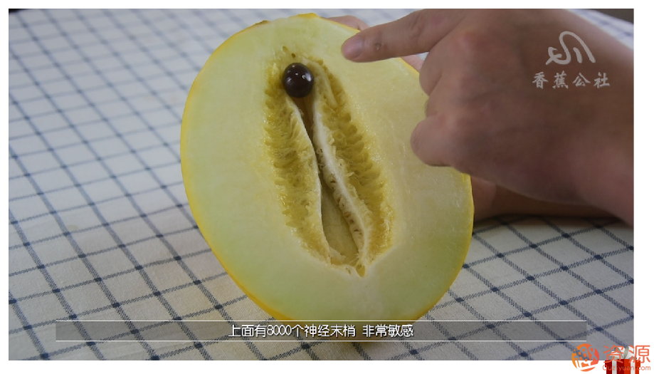 舌尖上的gaochao，男對女口愛_資源網站插圖7