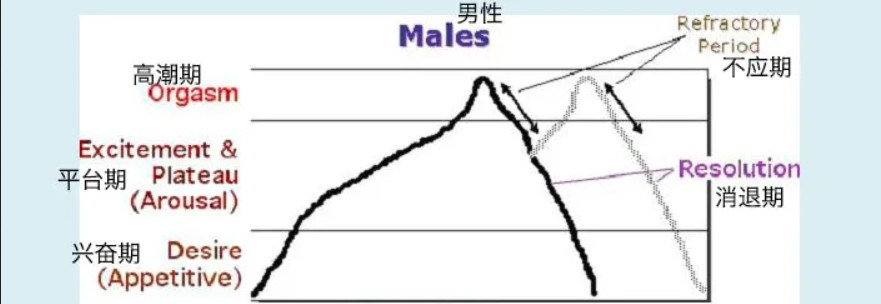 令人迷惑的“賢者模式”，抽搐后索然無味插圖1