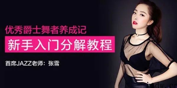 張雪優秀爵士舞者養成記，新手入門分解教程（完結）百度云分享_趣資料教程視頻插圖