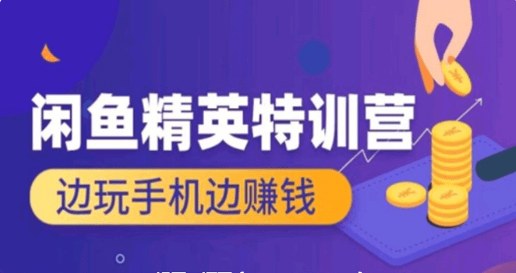 翼牛學堂：閑魚精英特訓營進階班，邊玩手機邊賺錢價值4999元-百度云網盤教程視頻插圖