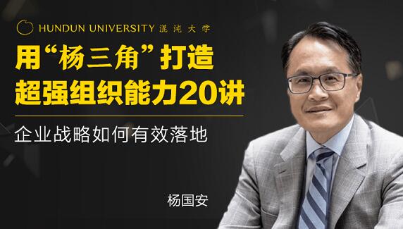 楊國安《打造超強組織能力20講》企業戰略如何有效落地_百度云網盤教程視頻插圖