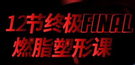 寧澤濤、張鈞甯、李晨健身教練黨寧遠：12節終極燃脂塑形課 百度云分享_百度云網盤教程視頻插圖