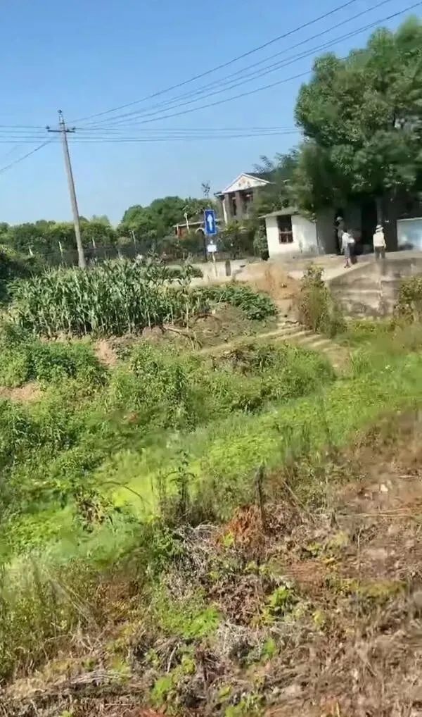 請問這是同一個人嗎？插圖31