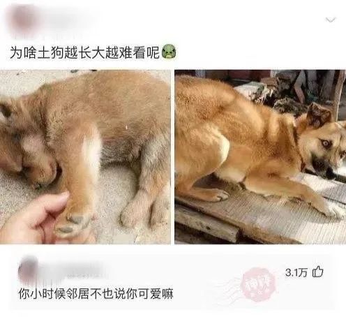 大長腿一字馬蜘蛛俠？插圖12