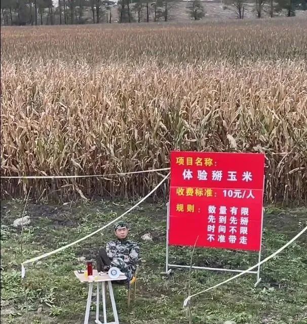 妹子窮的絲襪都破了！插圖14