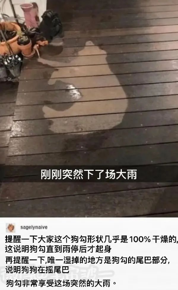 這口罩也太可愛了點吧！插圖22