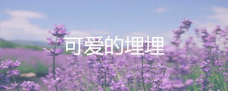 虎牙二次元聲控助眠主播可愛的埋埋人氣為什么這么高？插圖
