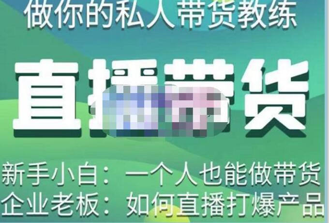 硬核傳媒?直播帶貨（私人教練），實操實戰教學百度網盤插圖