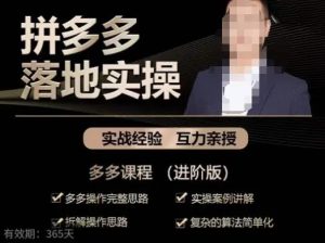 拼多多實戰篇?落地實操：多多操作完整思路+實操案例講解+拆解操作思路+復雜的算法簡單化插圖