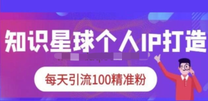 知識星球個人IP打造系列課程，每天引流100精準粉【視頻教程】百度網盤插圖