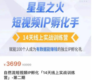 瑤瑤?自然流短視頻IP孵化第二期，成為有數據能賺錢的獨立IP孵化手百度網盤插圖