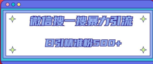 微信搜一搜引流全系列課程，日引精準粉500+（8節課）百度網盤插圖