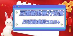 豆瓣精準暴力引流，日引精準粉500+【12課時】百度網盤插圖