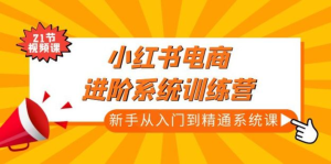 小紅書電商新手入門到精通實操課，從入門到精通做爆款筆記百度網盤插圖