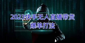 2023快手無人直播帶貨爆單教程，可批量放大操作百度網盤插圖