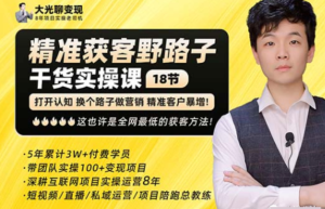 楊光?精準獲客野路子，黑科技快速獲取精準客戶百度網盤插圖