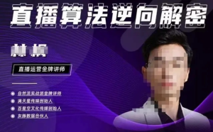 林楓?2023新課直播算法逆向解密，選品、建模、老號重啟、控流、羅盤分析百度網盤插圖