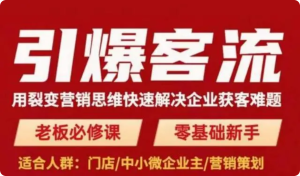 引爆客流，用裂變營銷思維快速解決企業獲客難題百度網盤插圖