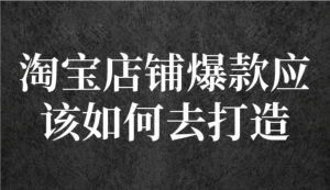 冠東?爆款店鋪淘系爆款選品方法，一個好選品思路決定是否盈利百度網盤插圖