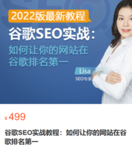 谷歌SEO實戰教程：谷歌排名第一秘籍，內容從入門到高階百度網盤插圖