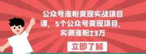公眾號漲粉變現實戰項目課，5個公眾號變現，漲粉23萬百度網盤插圖