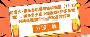 叮當會?拼多多粗暴賺錢特訓營（11-19期），拼多多爆款群+拼多多視頻技術+無貨源店群插圖