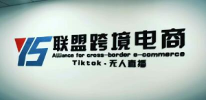 YS聯盟?Tiktok無人直播，不出鏡不剪輯不拍攝不發貨無售后的跨境短視頻插圖