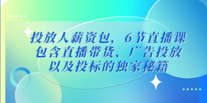 三里屯?投放人薪資包，6節直播課，直播帶貨、廣告投放獨家秘籍百度網盤插圖