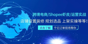 跨境電商Shopee蝦皮運營實操直播課（10節系統課）百度網盤插圖