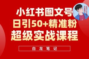 小紅書圖文號日引50+精準流量，新手小白實戰的小紅書引流課百度網盤插圖