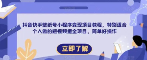 抖音快手壁紙號小程序變現項目教程，適合個人短視頻掘金項目百度網盤插圖