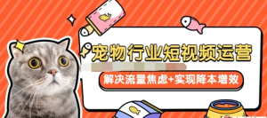 寵物/行業短視頻運營流量增長，解決流量焦慮+實現降本增效百度網盤插圖