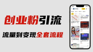 價值980的2023最新暴力引流創業粉絲玩法，單日被動引流50+創業粉百度網盤插圖