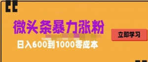 微頭條暴力漲粉技巧搬運文案就能漲幾萬粉絲，0成本日賺600百度網盤插圖