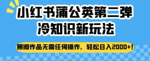 小紅書蒲公英冷知識新玩法，照搬作品賺錢副業百度網盤插圖