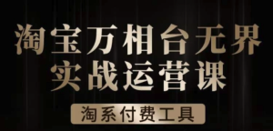 滄海?淘系萬相臺無界實戰運營課，萬相臺案例解析百度網盤插圖