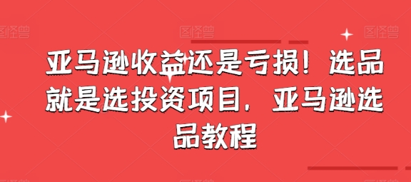 亞馬遜收益還是虧損！選品就是選投資項目，亞馬遜選品教程插圖