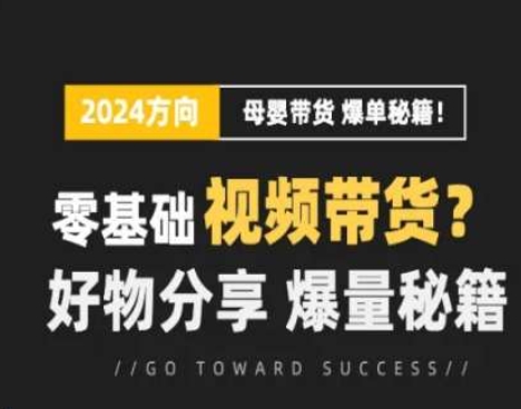 短視頻母嬰賽道實操流量訓練營，零基礎視頻帶貨，好物分享，爆量秘籍插圖