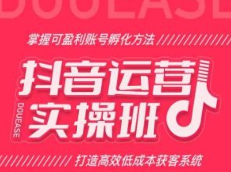 抖音運營實操班，掌握可盈利賬號孵化方法，打造高效低成本獲客系統插圖