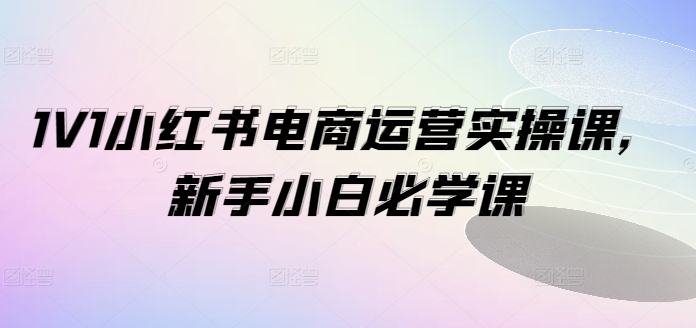 1V1小紅書電商運營實操課，新手小白必學課插圖