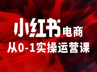 小紅書電商從0-1實操運營課，讓你從小白到精英插圖