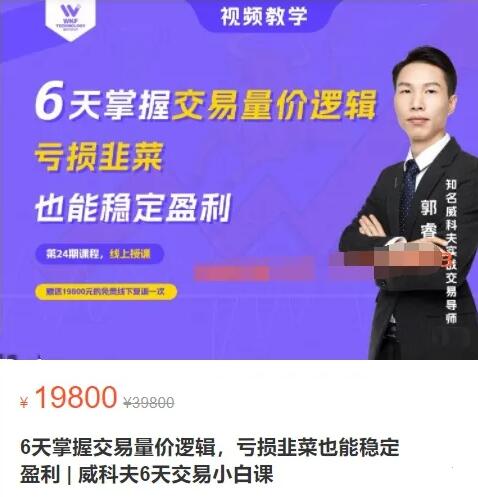 【郭?！吭瓋r19800元的《6天掌握交易量價邏輯，虧損韭菜也能穩定盈利》插圖