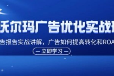 【網賺上新】090.沃爾瑪廣告優化實戰班，廣告報告實戰講解，廣告如何提高轉化和ROAS等