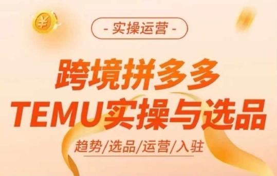 跨境拼多多TEMU實操與選品，多多temu跨境選品運營實操插圖