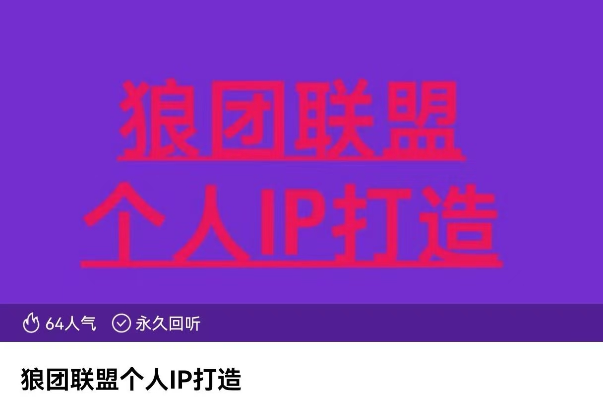 狼團聯盟個人IP打造，個人IP變現全攻略：私域運營,微信技巧,公眾號運營插圖